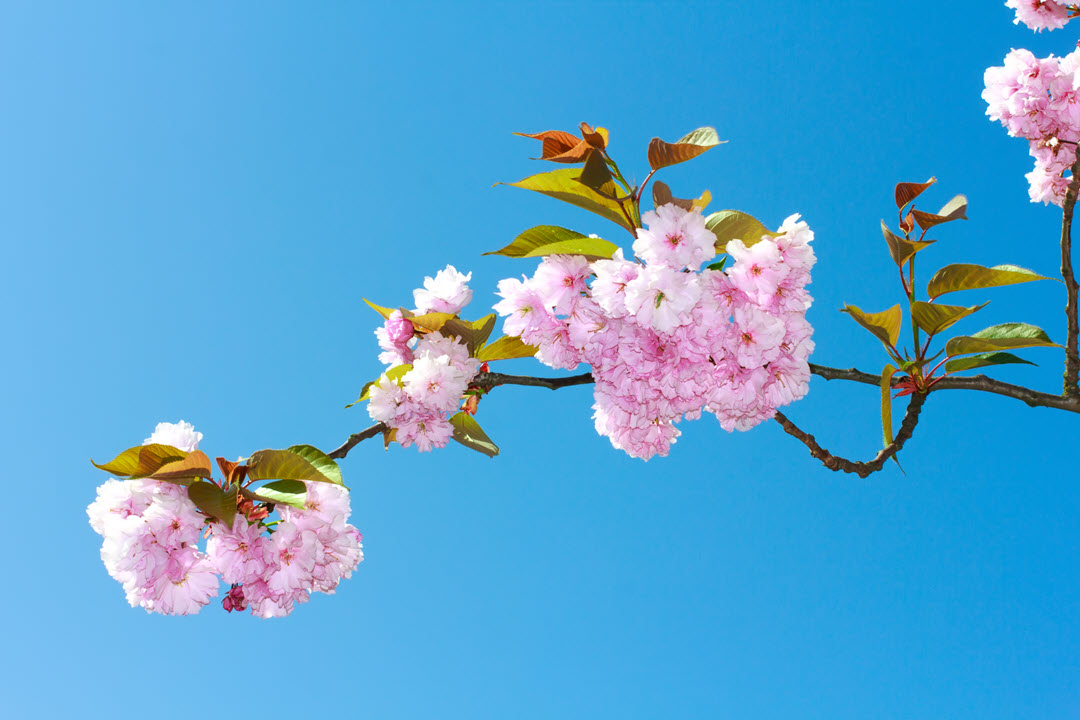 Refresh Your Home - Quechee VT Home Cleaning Refresh Your Home - Quechee VT Home Cleaning