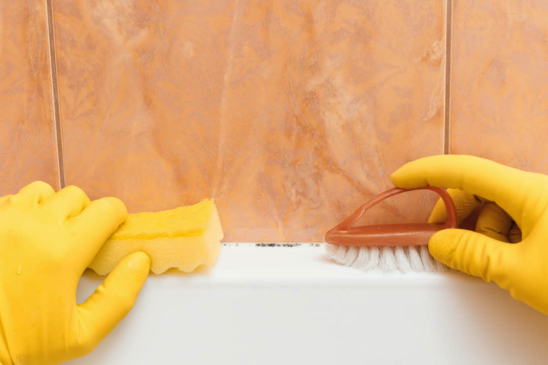 Mold Prevention for Bathrooms - Quechee Home Cleaning